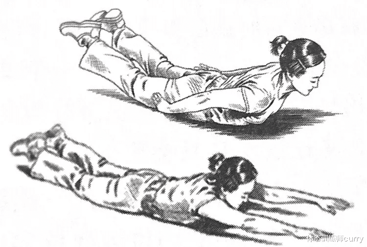 运动|润滑脊椎关节的重要动作