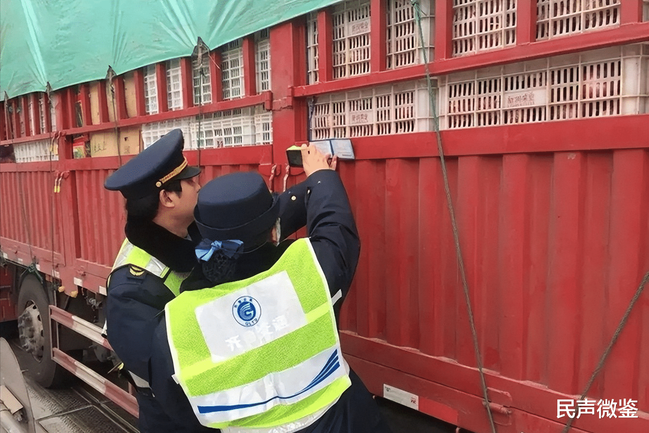 33吨胡萝卜过不了绿通,需交4700元过路费,无奈只能整车卸货检查