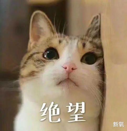 拐卖|头皮发麻！女星去世时隔3个月，她的社交账号又更新了