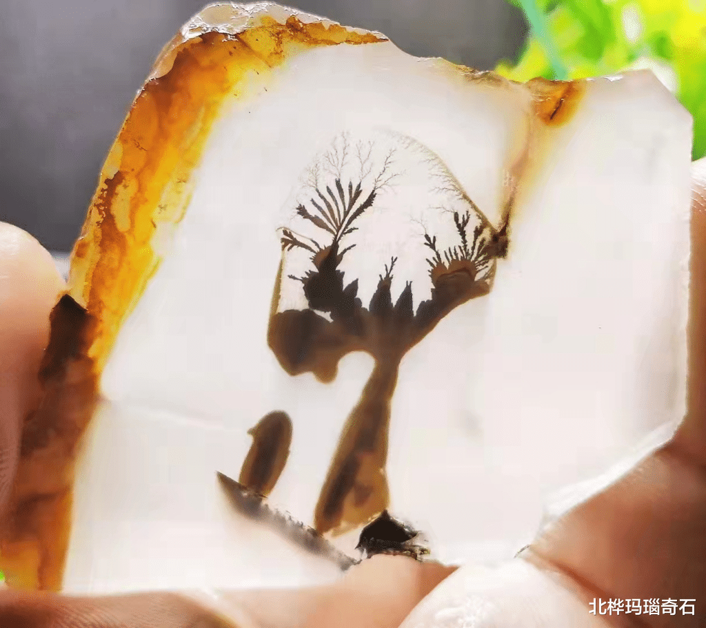 美丽|好看的石头有谁会不喜欢