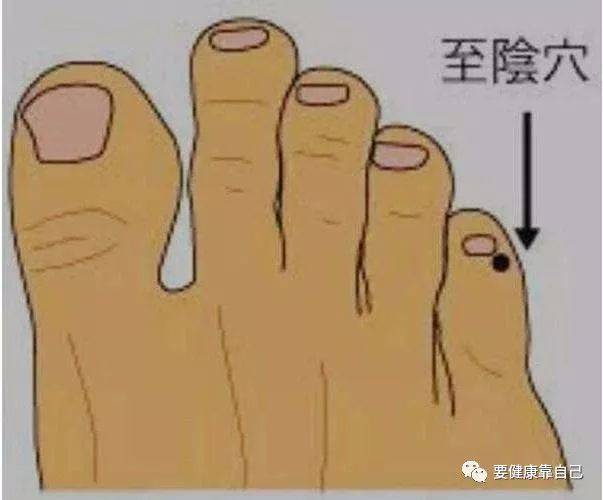 脾胃|神奇的至阴穴,极寒之地的穴位,泡脚退热的要穴