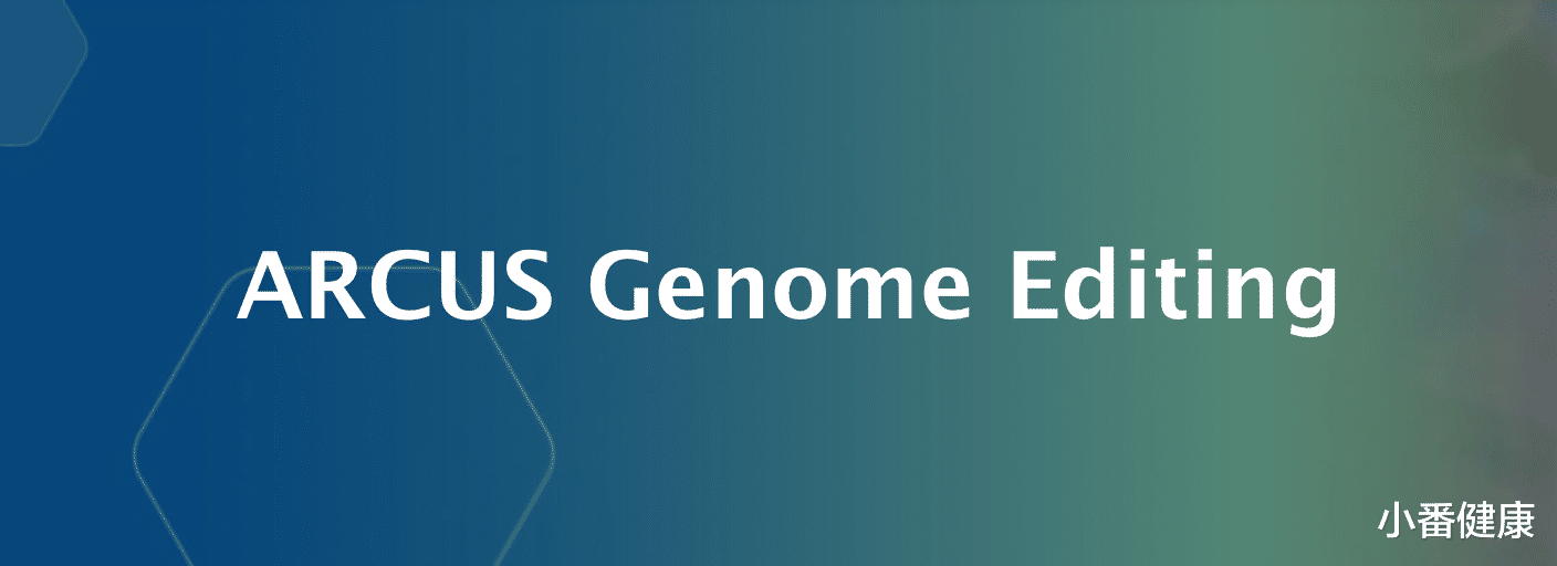 乙肝在研新药PBGENE-HBV,临床前研究,靶向cccDNA体内消除HBV