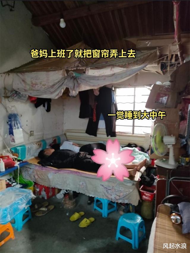 浙江一00后男子带着女朋友一起“啃老”,被姐姐吐槽