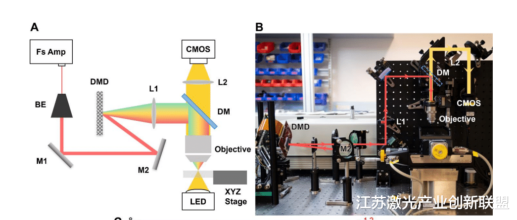 美团|飞秒双光子激光纳米3D打印新突破，登上《Science》