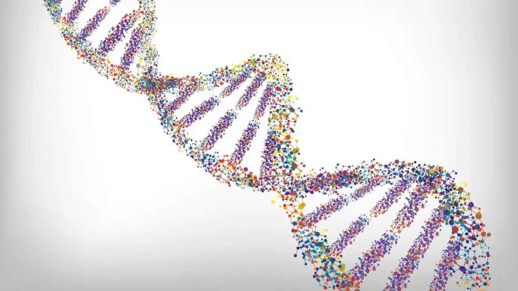人类和香蕉有50%相同的DNA?某种意义上来说,我们都是亲戚!