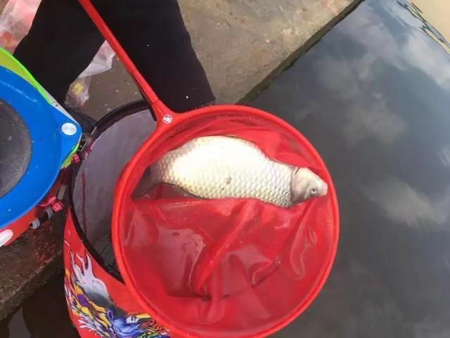 |玩黑坑不可不知的5个“潜规则”,悄悄告诉你,少交点学费