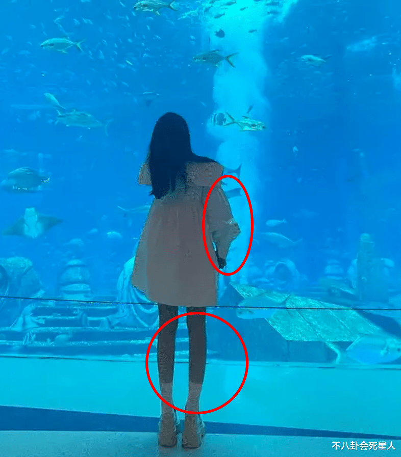 赵露思|赵露思脸上的半永久，让她成了另一个“鞠婧祎”