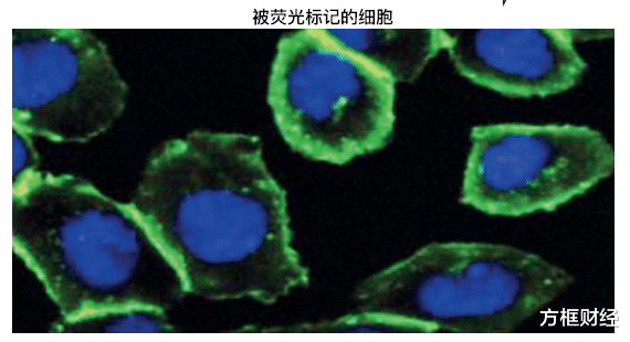 三位科学家分享2022年诺贝尔化学奖,其中一人二次获奖
