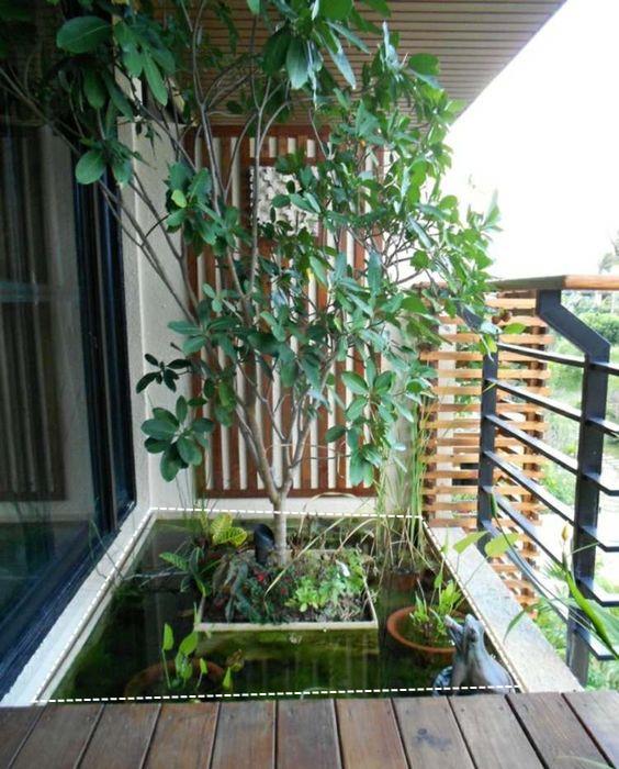 阳台不晒衣服、不种花,打算用来养鱼?这4点不注意,你还是外行