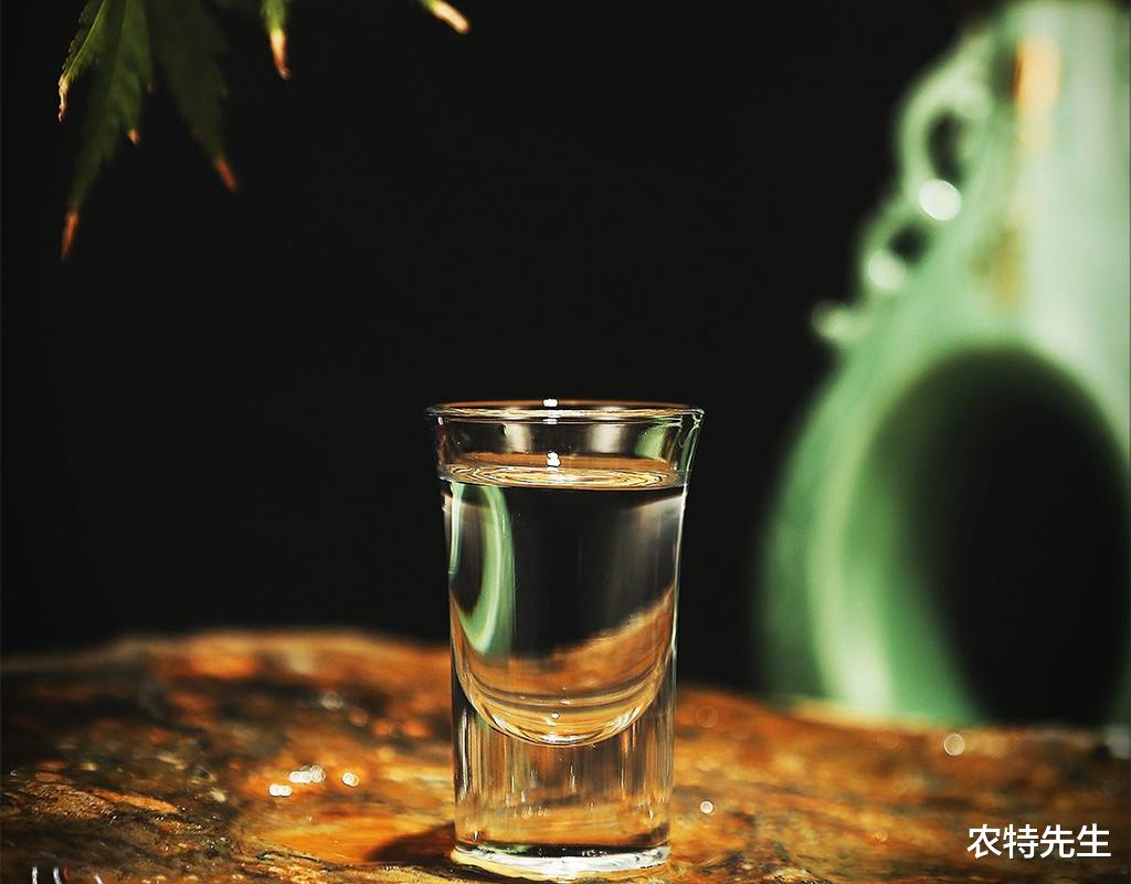 河南人劝酒出新招,张口闭口都说“穷”,网友:真是因为穷吗