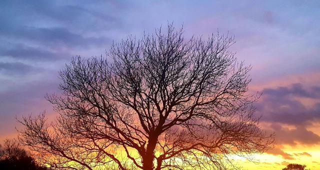 |做生意、当老板的5大本事、30个细节，提升你的领导力，学习下吧