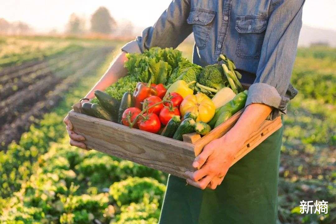 机器|生鲜电商平台,需要一个平台