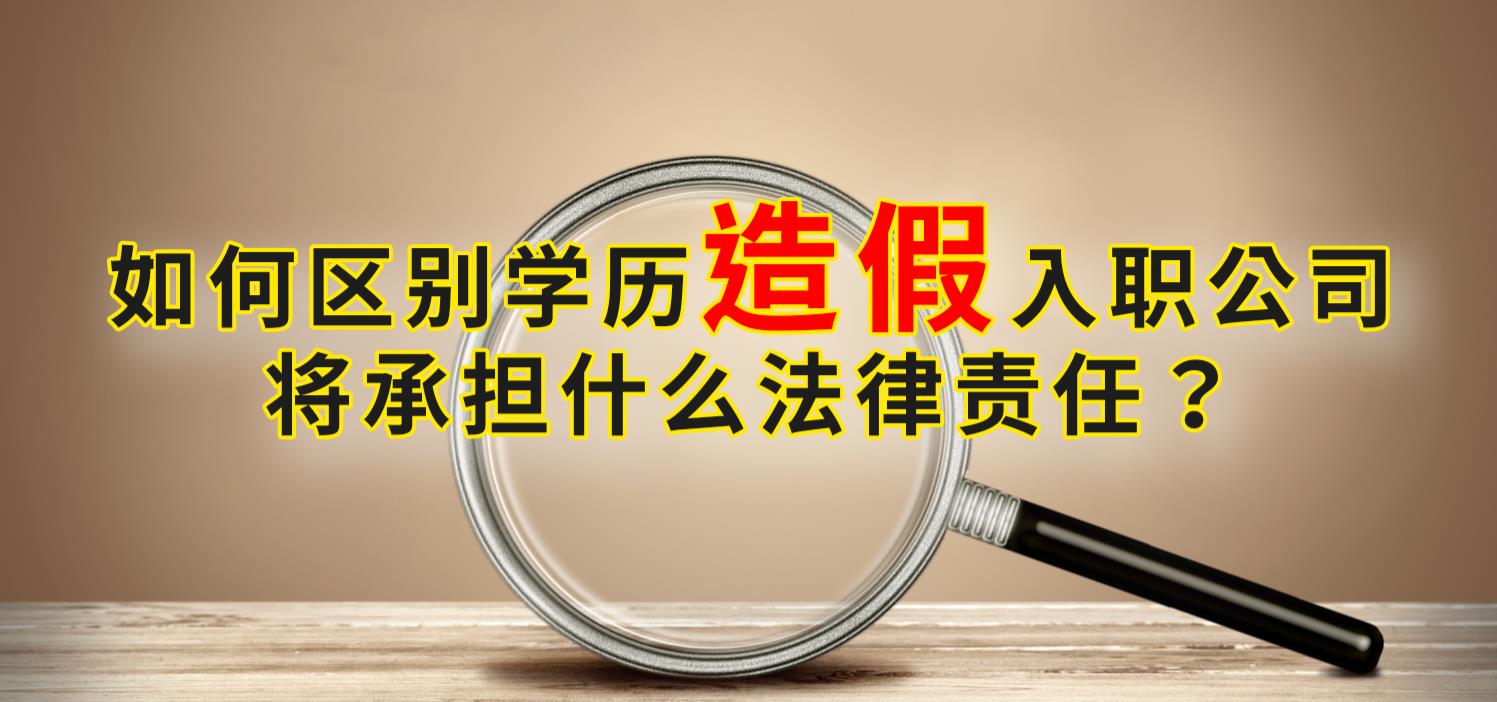 大学|学历造假入职公司，将承担什么法律责任？