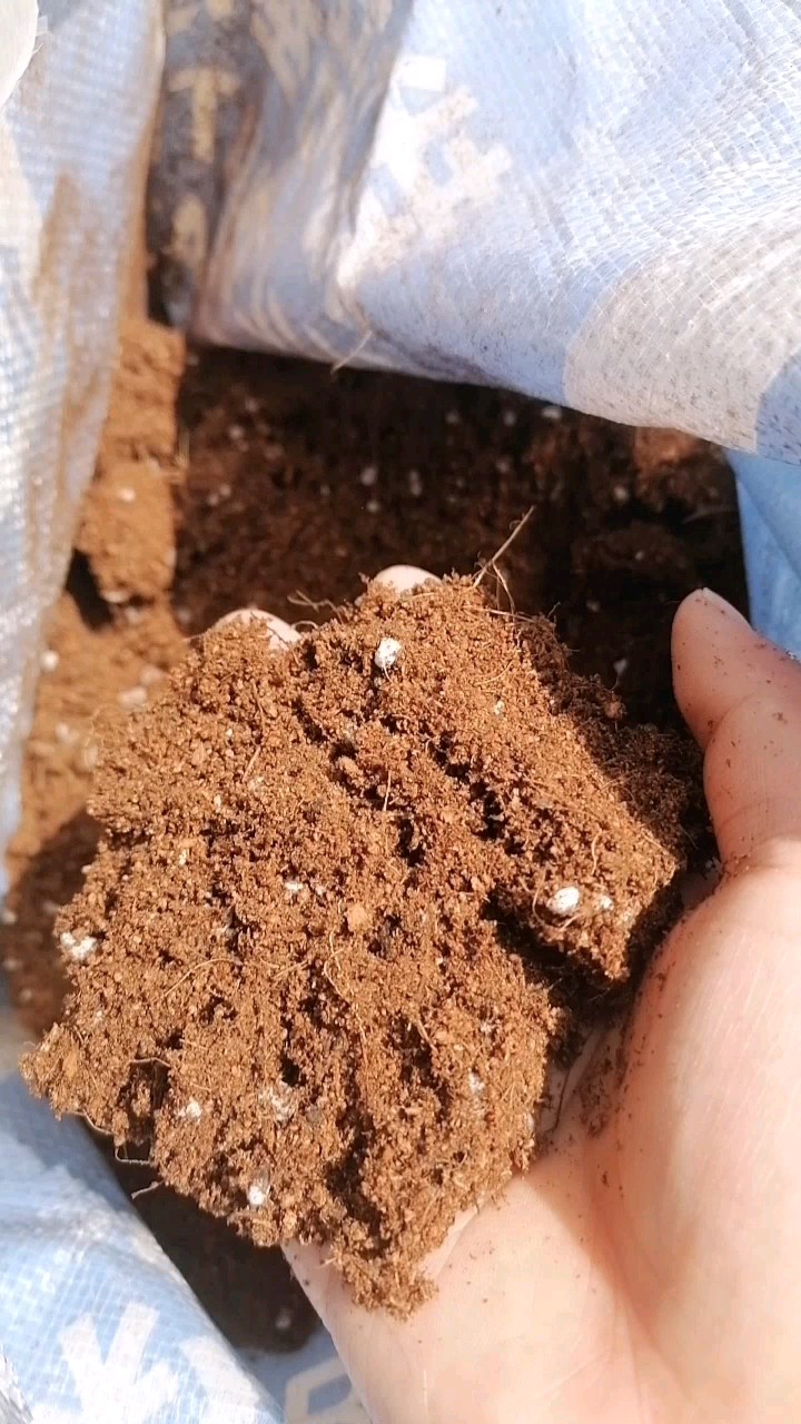 绣球花|一楼60㎡小院，向下挖地40cm，打造成下沉式的庭院花园，非常好看