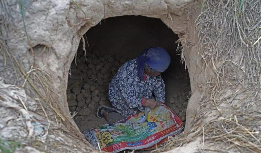 案例:一起因兄弟先后失踪牵出的四条命案