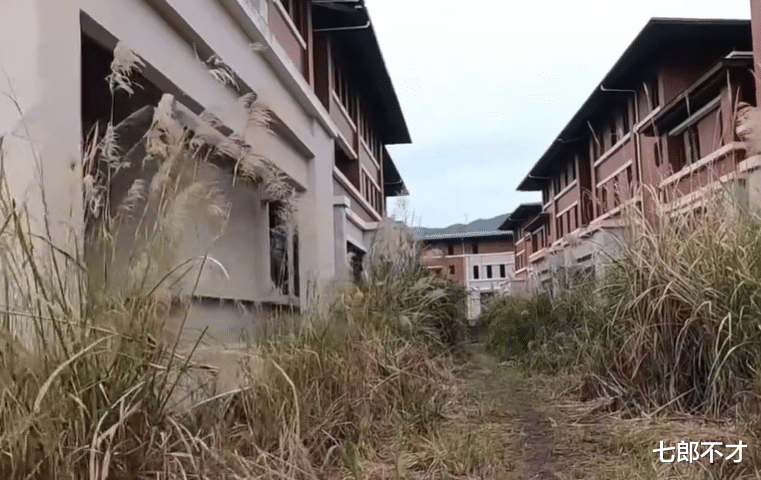 厦门|福州一处7年烂尾别墅群,芦苇盖住一层楼,1800户业主盼收房