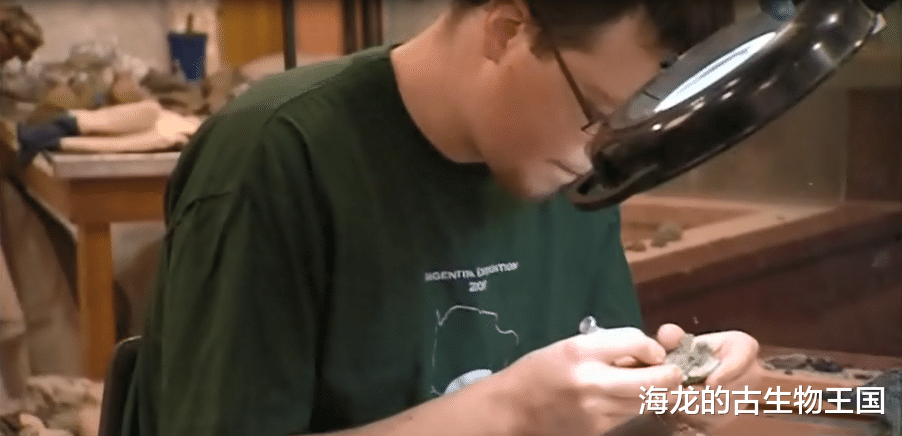 肿鼻角龙是一种逐水草而生的动物吗？
