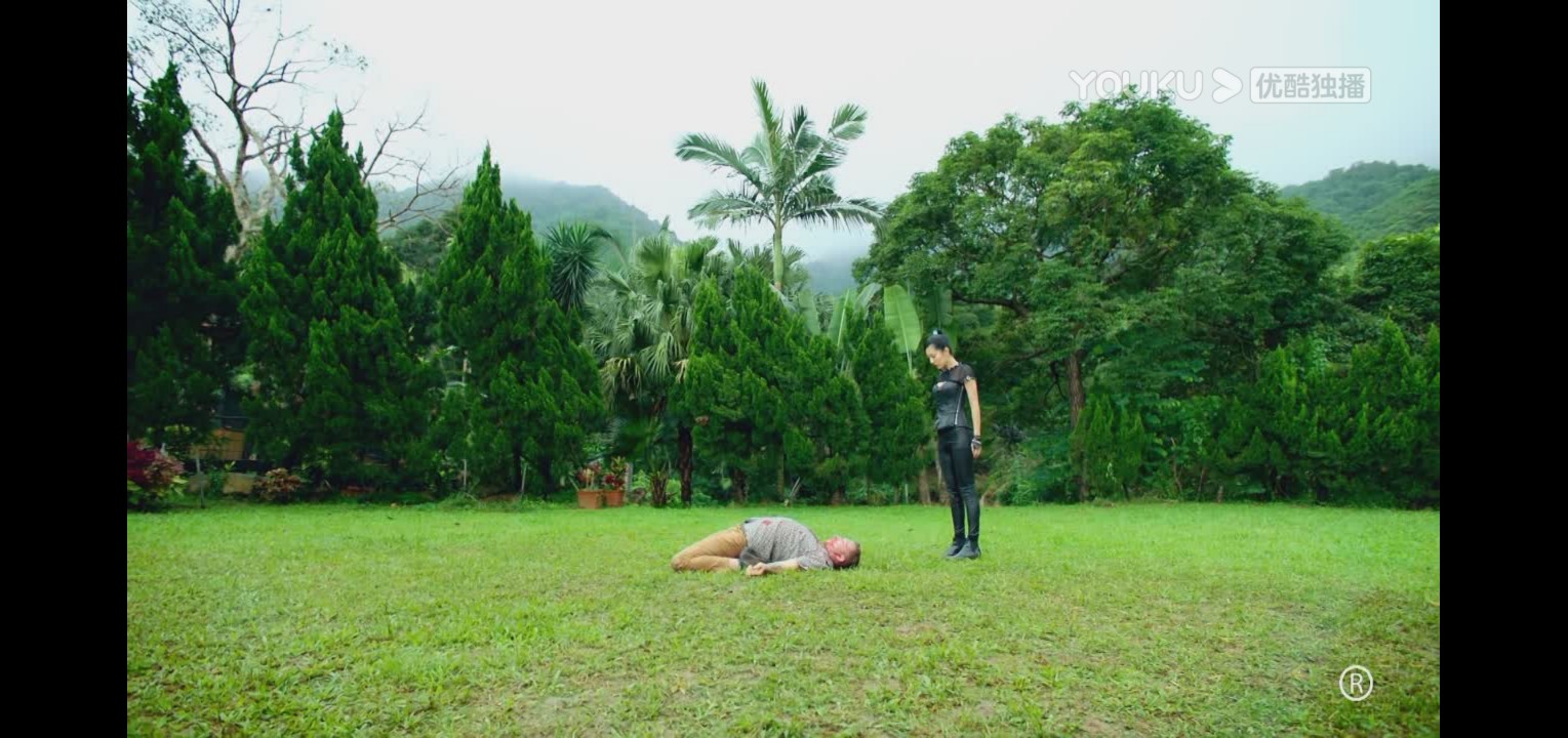 铁拳英雄|《铁拳英雄》大结局！大魔头终于伏法！青云找到芊芊却病发！