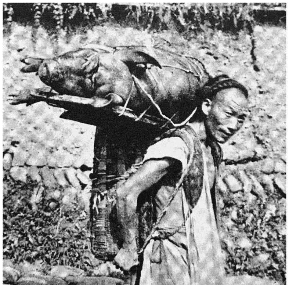 爸爸是中国人,妈妈是非洲人,混血孩子娶总统女儿,差点当选总统