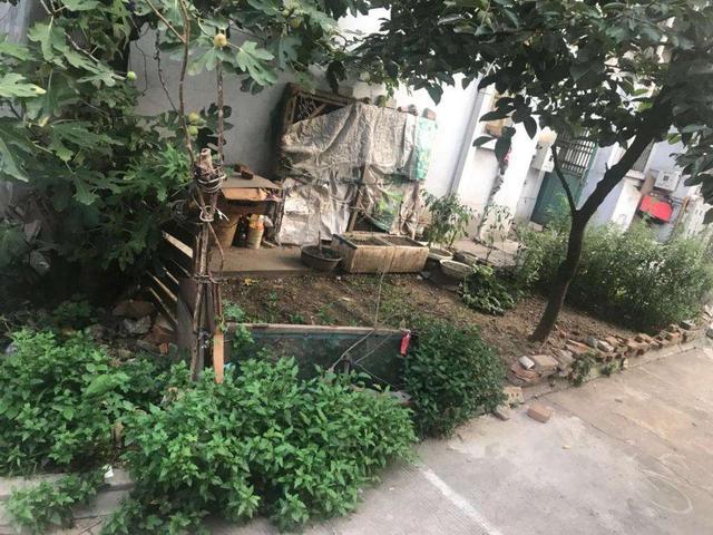 福州|都说一楼带院子好，可以打造小花园，但两年后，那叫一个苦不堪言