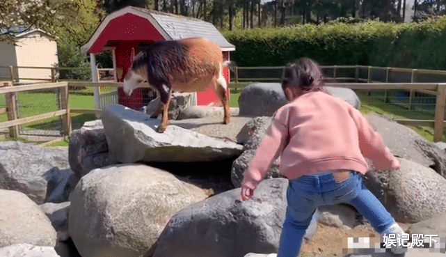 谢婷婷|谢婷婷三岁女儿曝光,比起哥哥谢霆锋,她的婚姻更有看头!