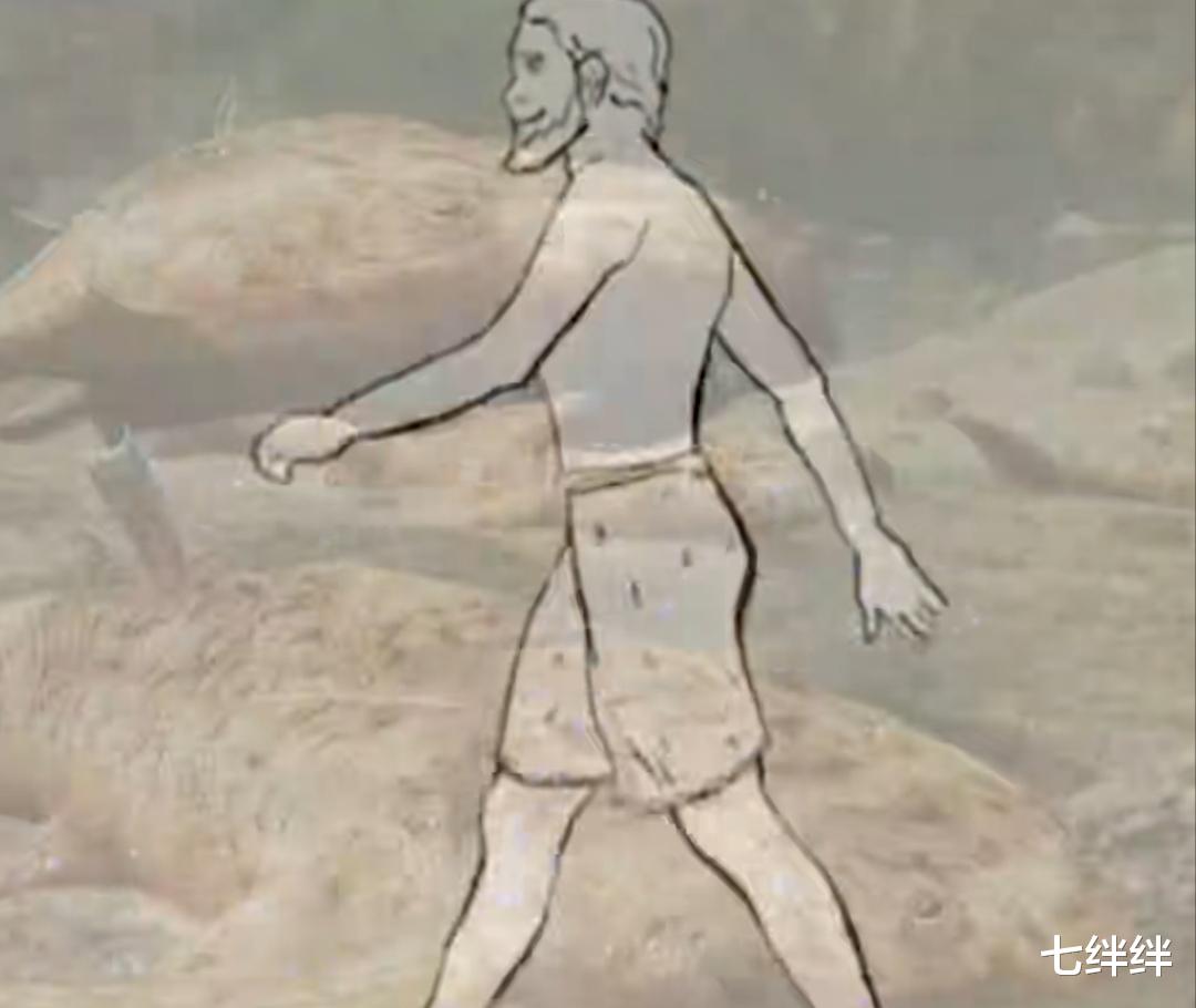 怎么也没想到人是从鱼进化而来,你相信吗?