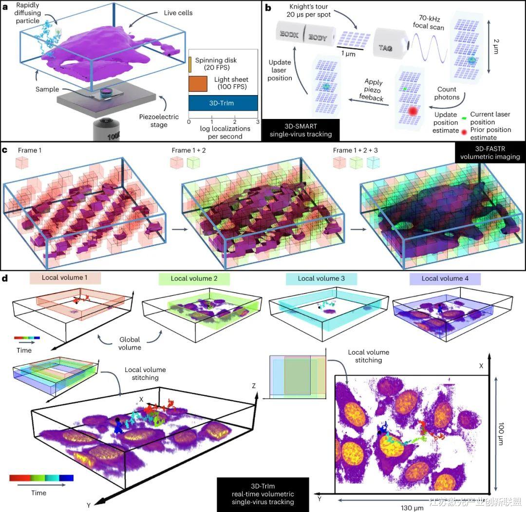 Nature 子刊:研究人员通过高速 3D 单病毒跟踪捕获病毒-细胞相互作用的起点