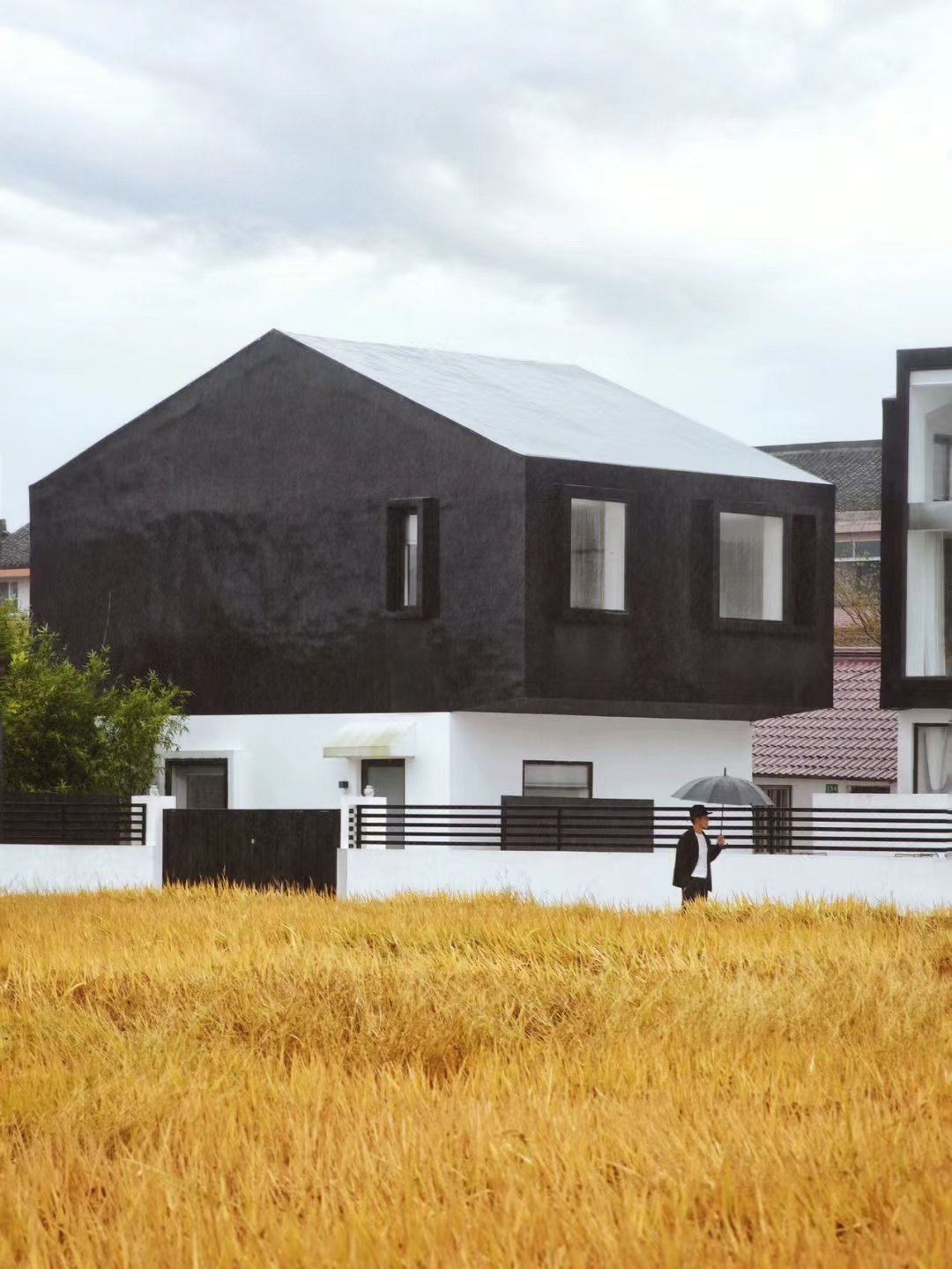 漓江|接下来这些绝美秋色错过要再等一年