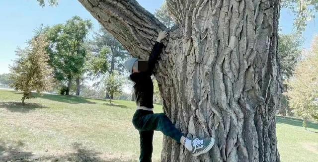 劣迹艺人|不给劣迹艺人复出活跃机会,某爽开素人小号被发现,账号直接被夹