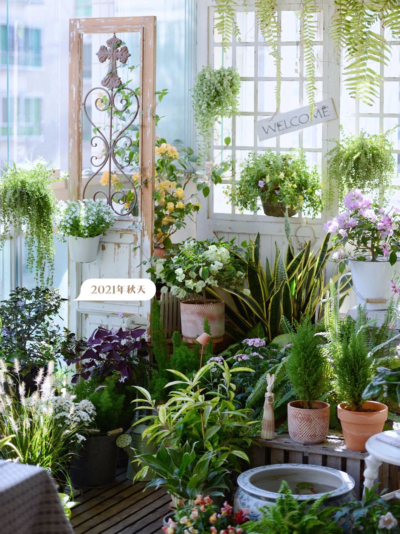 住了10年的小阳台,DIY改造成四季如春的“阳台花园”,太漂亮了