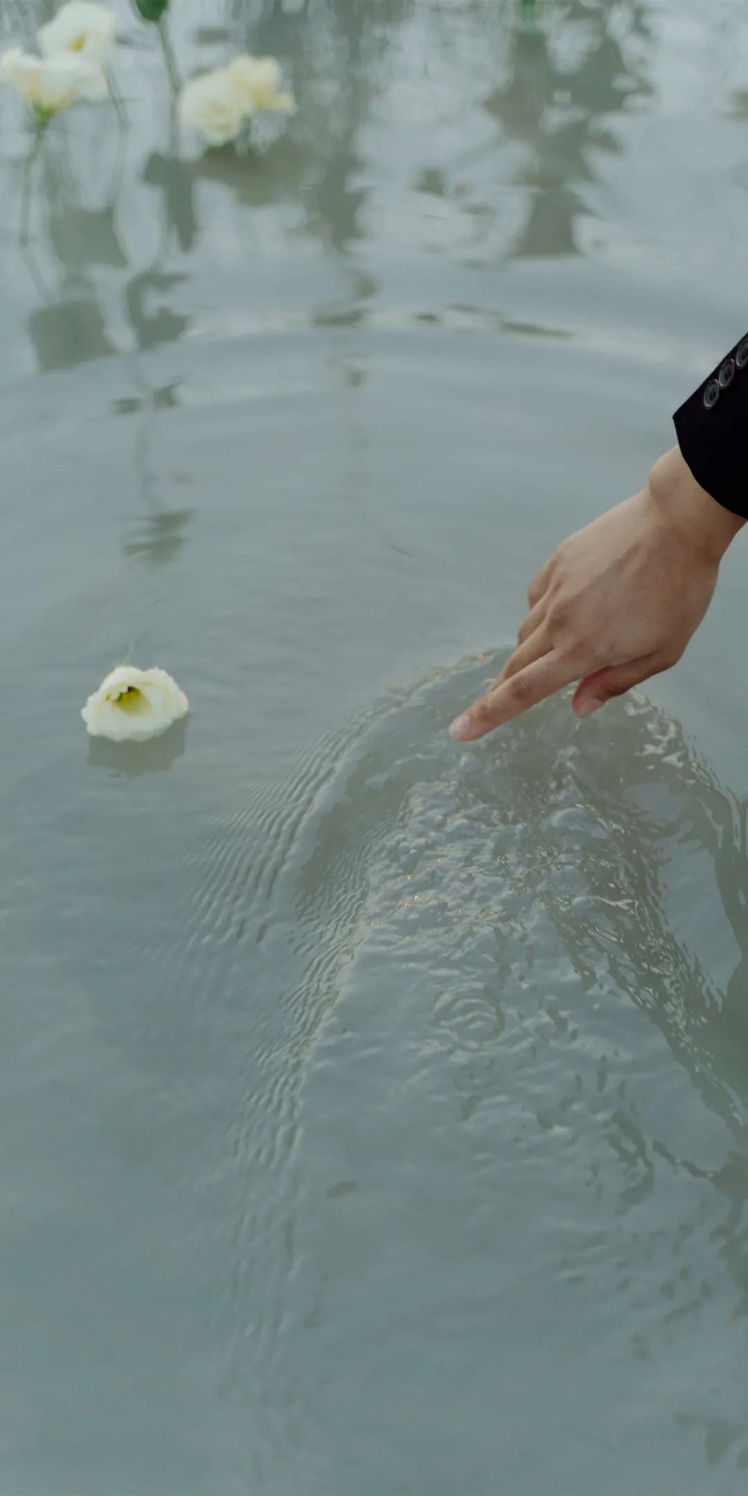 |“我与山花都浪漫”
