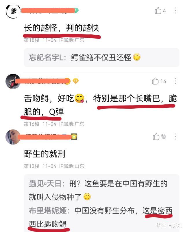 外来物种“鸭嘴怪鱼”现身广西,别怕!它们不具备入侵的能力