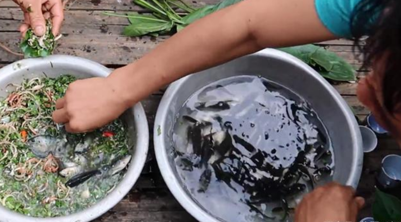 |瞠目结舌,鲜活小鲫鱼撒点绿菜生着吃,一问才知是越南人