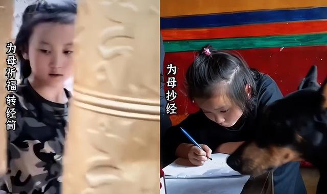 乐嘉|陶红因病去世,为其遗愿前夫乐嘉携女去拉萨,父女抱头痛哭惹人怜