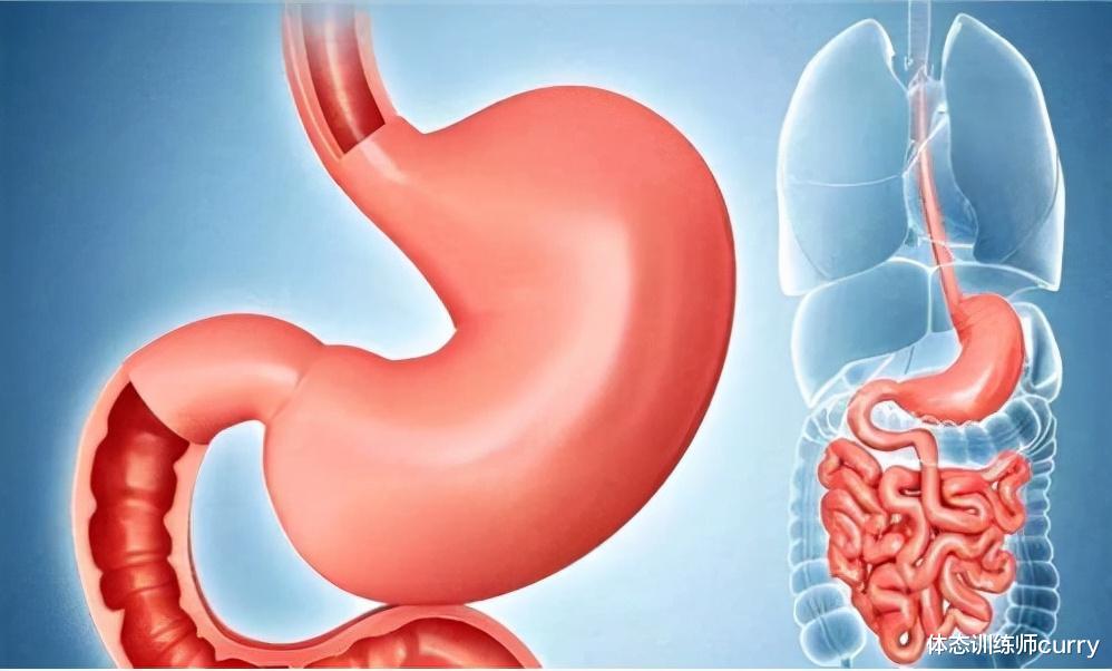 柿子|萝卜是胃病的“加速器”？提醒：冬季养胃，这3种食物要少吃