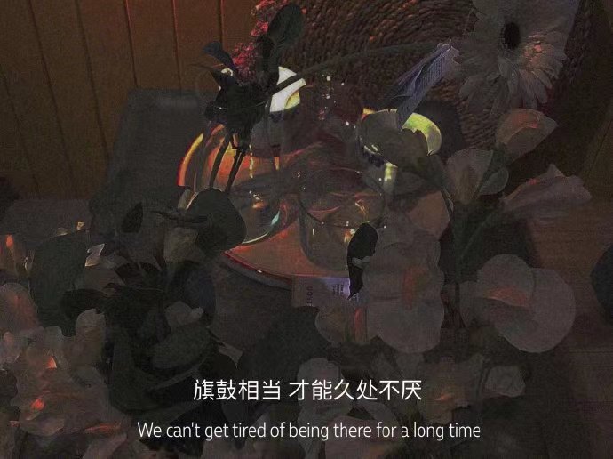 |日常发动态的朋友圈文案