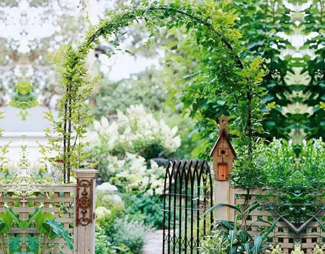 一个简单的花架,却美了整个院子