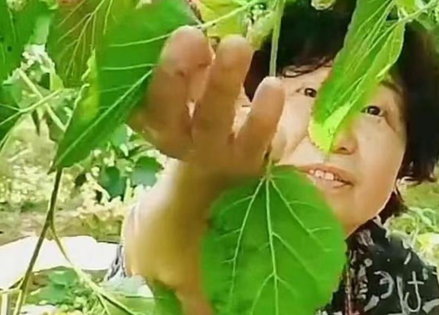 灵魂拷问!一网友对杜新枝提出50条质疑,柴桑喊话老杜公开回应