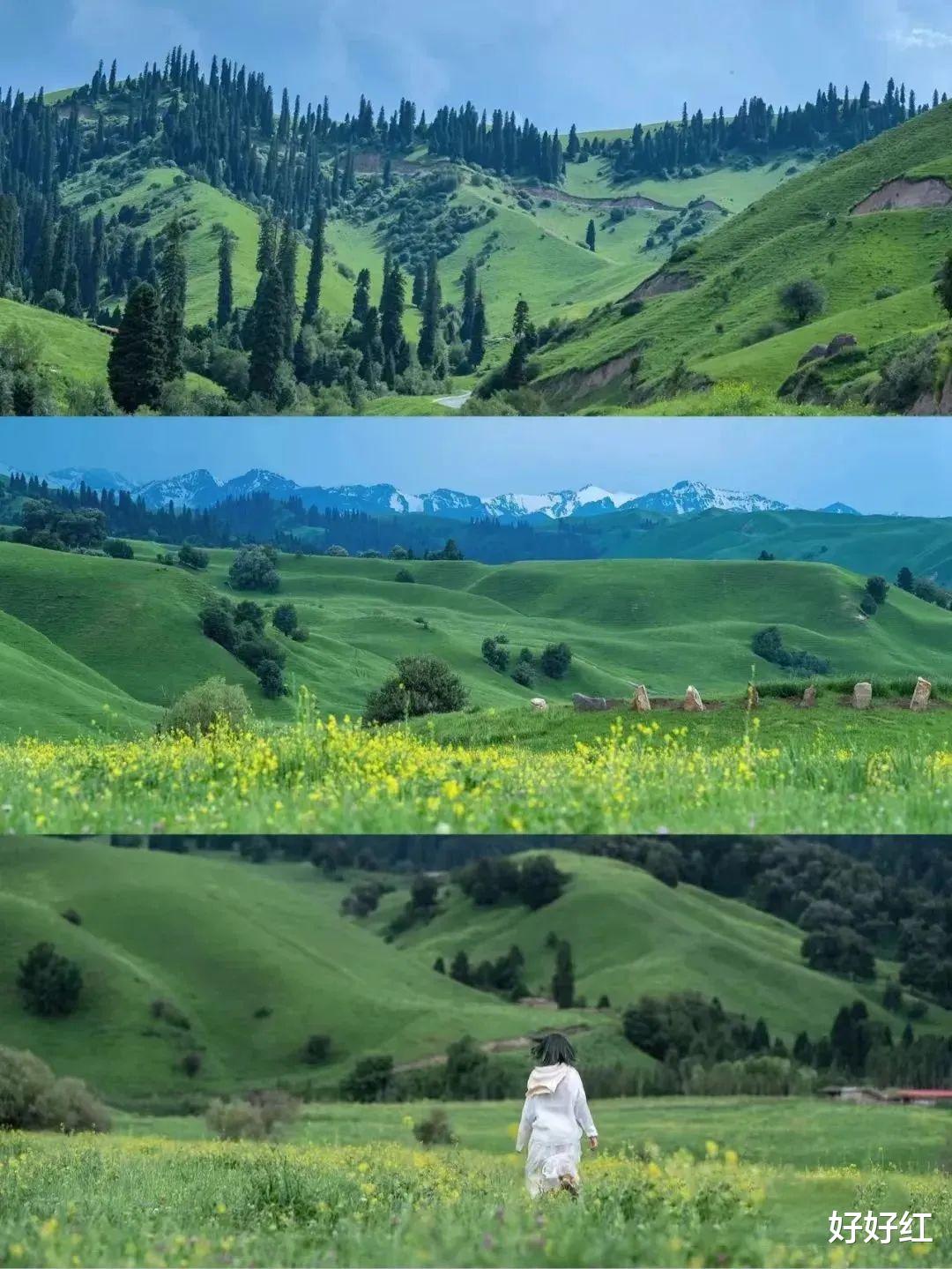 草原|私藏“中国最美公路”，一年仅开放5个月！这里的夏日，一次看遍草原雪山湖泊！