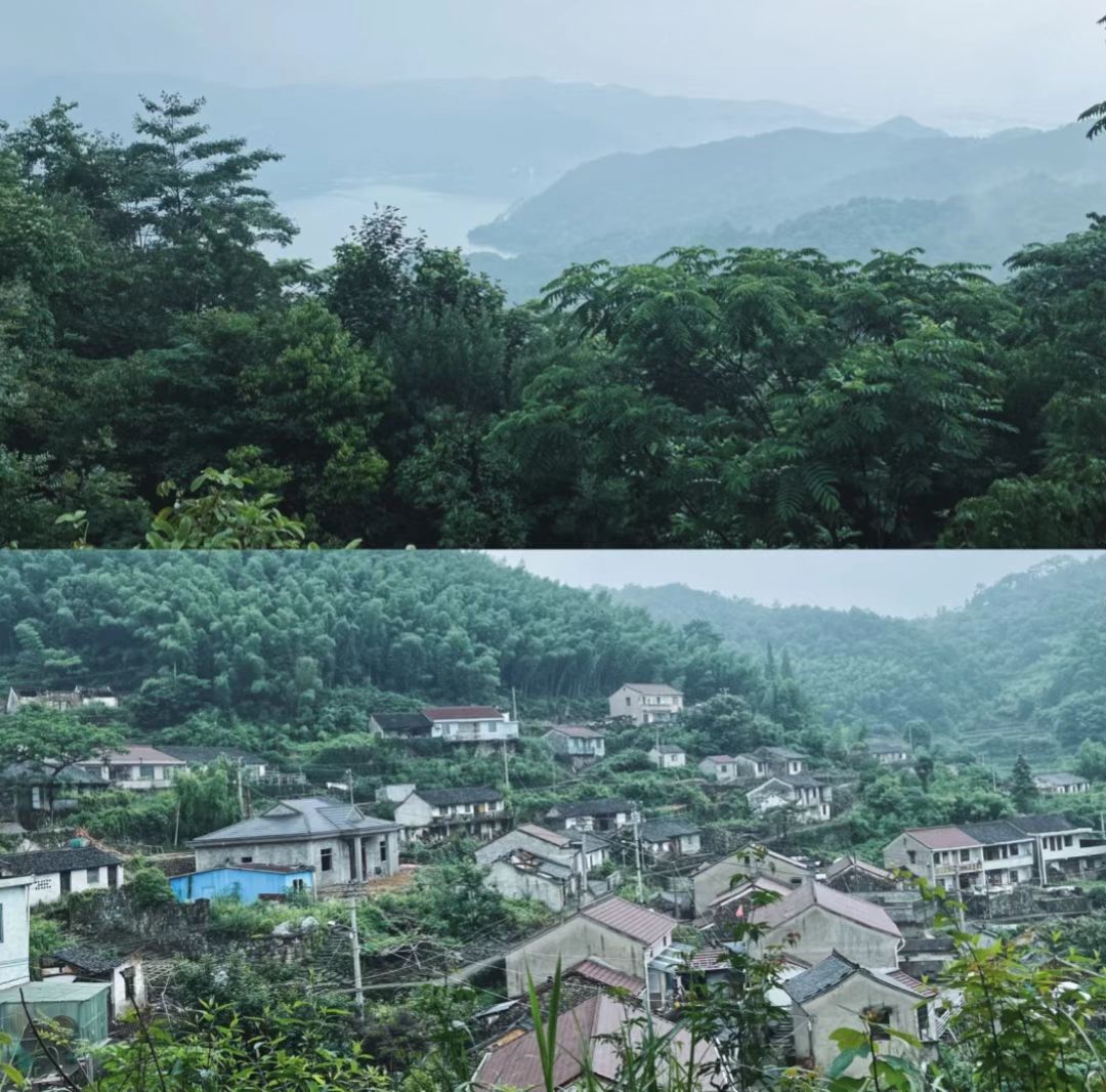 |宁波小众旅行地，在四明山中寻一个绿影仙踪，净化疲劳的心灵
