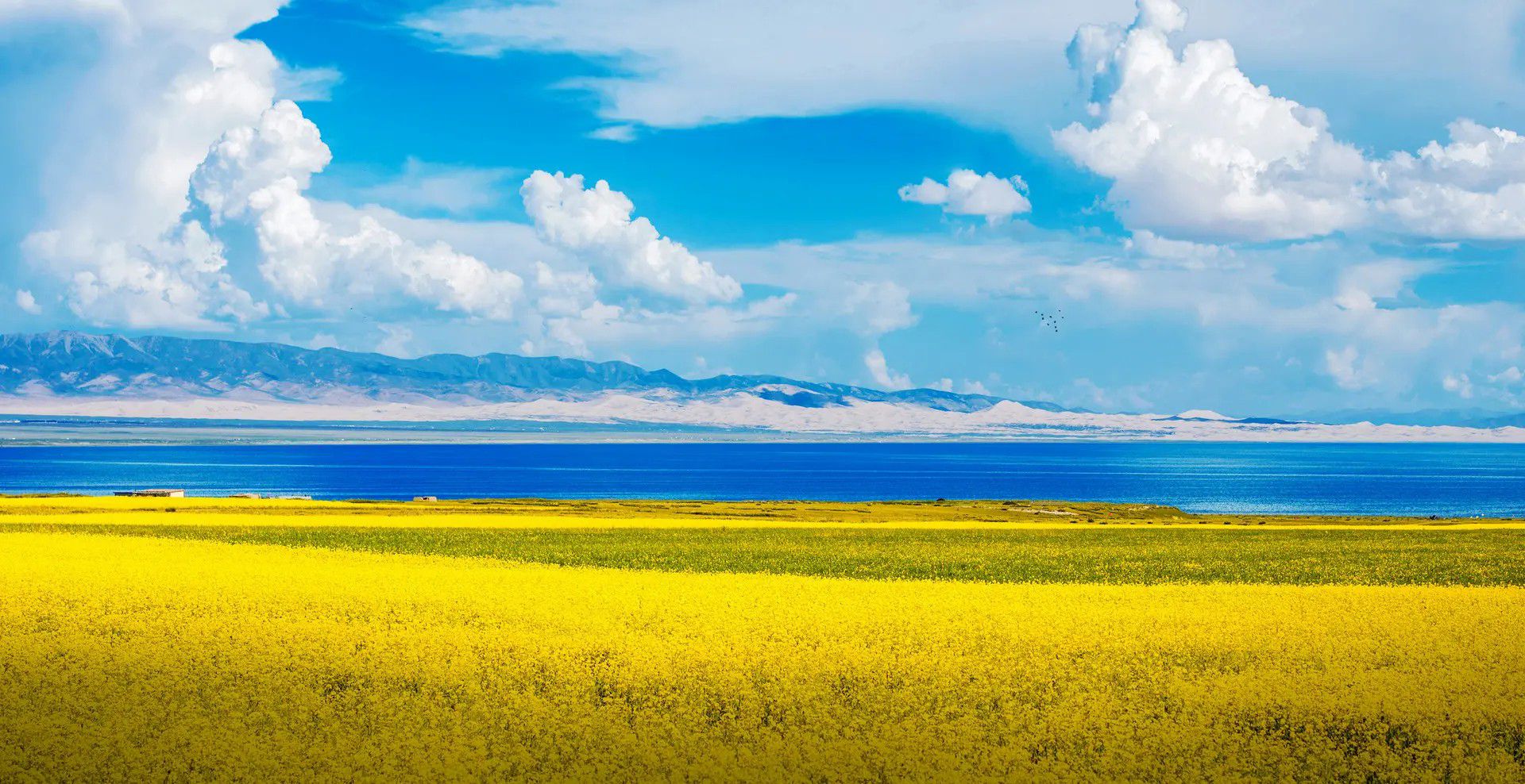 |中国最美的湖、如湖如海的美景、酷暑度假好去处——青海省青海湖