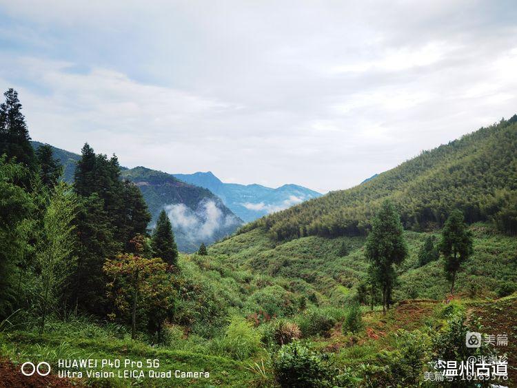 棋盘山|登顶温州12县市最高峰第六站--平阳第一高峰棋盘山和石狗山游记