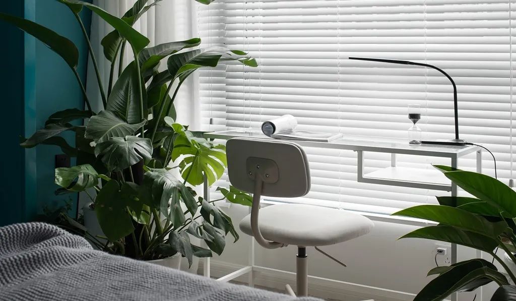 拆掉墙面、森系小屋:她家59m2的一人居,超低预算就能实现!