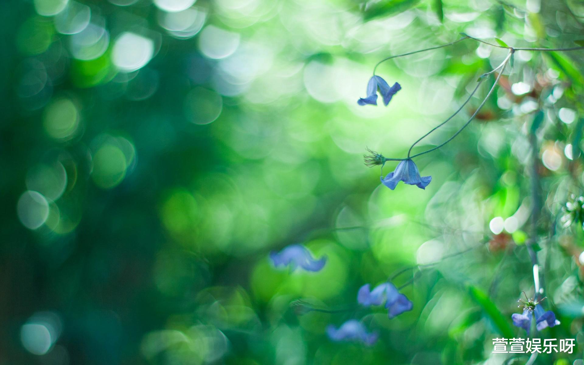 招聘|工作也只是一份工作而已,它是不可能主宰我们生活的