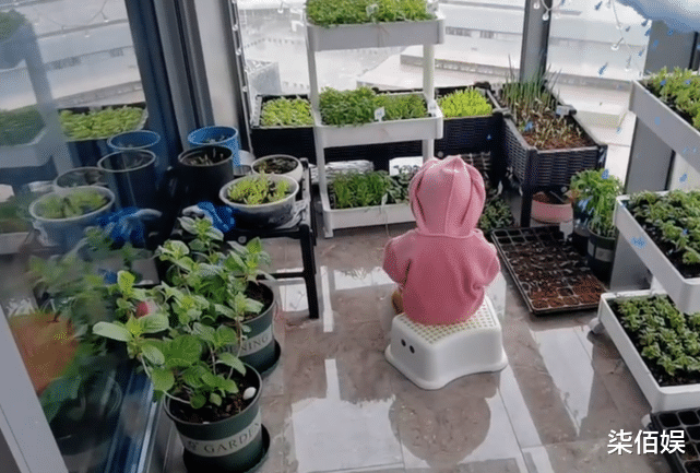 |苗苗分享孕晚期生活,为抢菜一宿不睡,素颜皮肤水嫩尖下巴抢镜