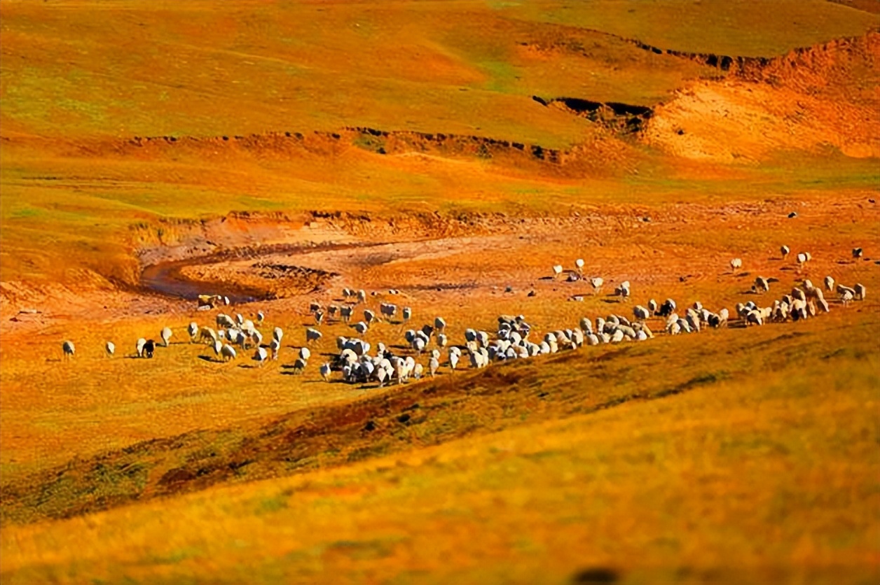 欧洲旅游|太美了！秋天适合一个人旅行的10个地方，我去过5个，你呢？