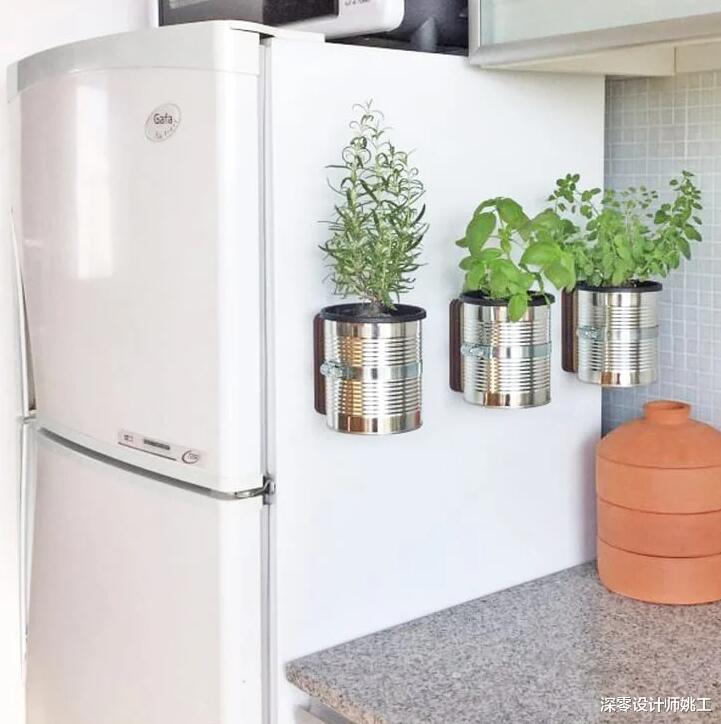 迟早有一天,我也能在厨房这7个地方种上蔬菜,自给自足超省事