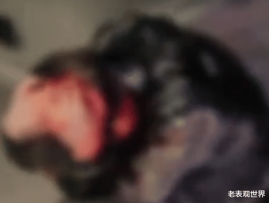 河南三门峡,一名年轻男子遭到众人围殴全身是血,警方:正在调查