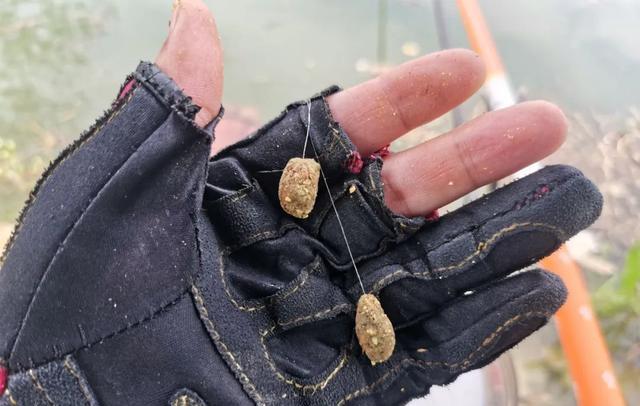 长沙|高目和低目之争:钓大鱼究竟怎么调漂?野钓这种方法最简单