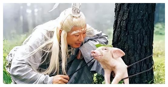 司机大佬|《司机大佬》播出33年,剧中演员境况不一,转行经商、退圈从政